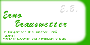 erno brauswetter business card